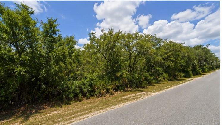 A paved road runs alongside a plot of land densely covered with trees and shrubs — 00 COUNTRY ROAD, EUSTIS, FL