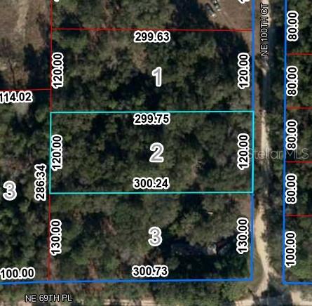 An aerial map shows three adjacent rectangular land parcels outlined in blue and red — Lot 2 NE 100TH COURT, BRONSON, FL