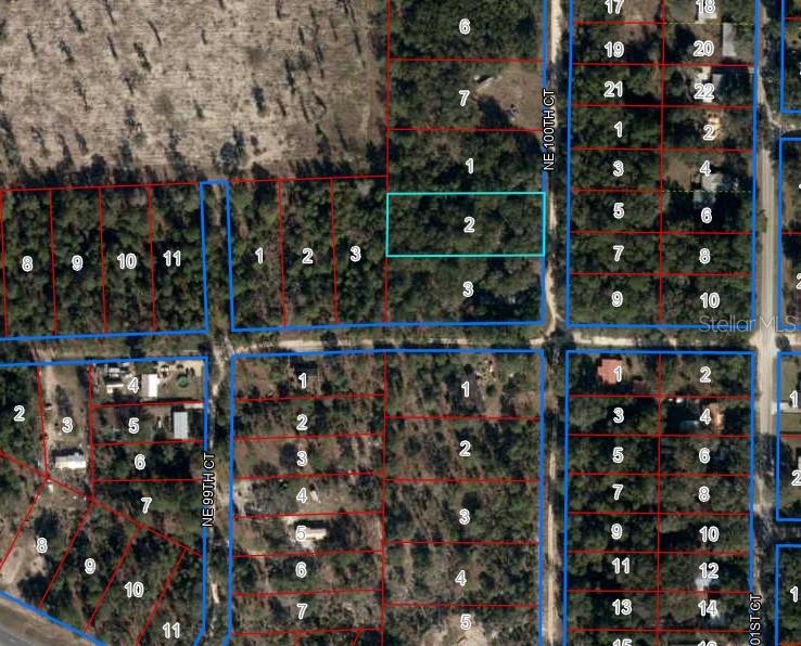 This is an aerial map showing a grid of undeveloped land parcels outlined in red — Lot 2 NE 100TH COURT, BRONSON, FL