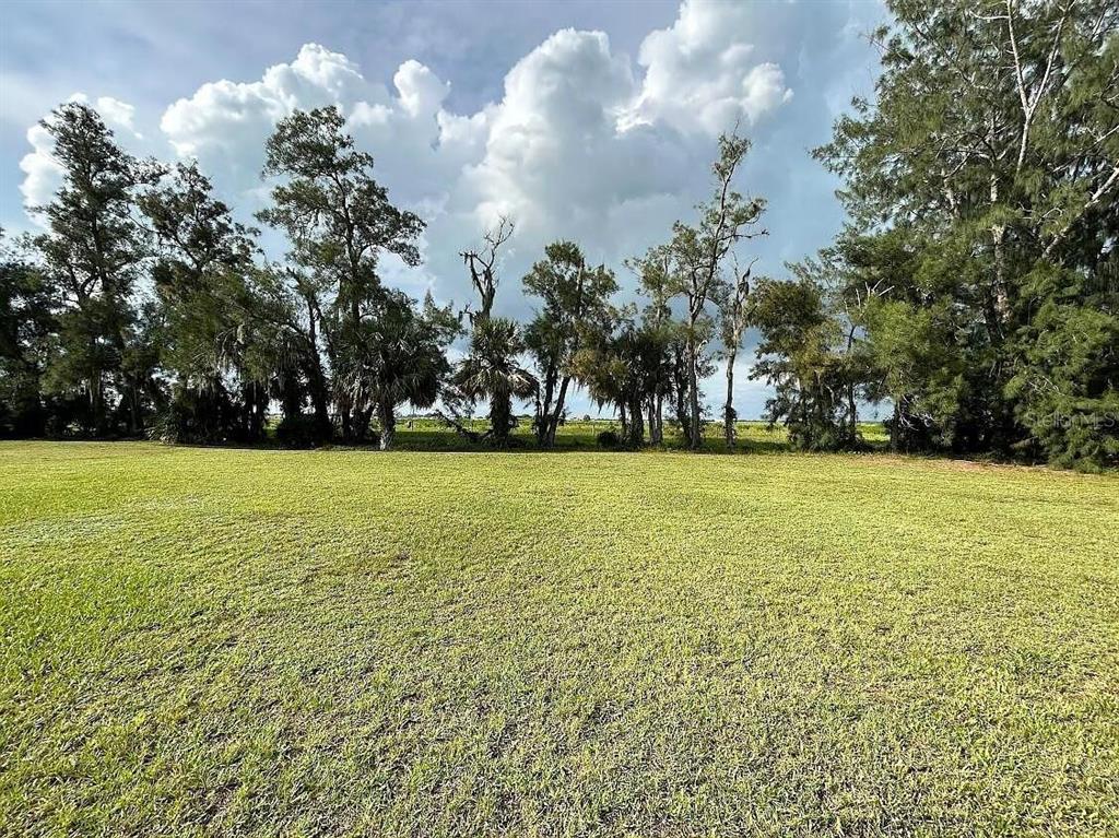 A large, grassy field is bordered by a line of mature trees under a cloudy sky — 7901 CASTILE ROAD, SEBRING, FL