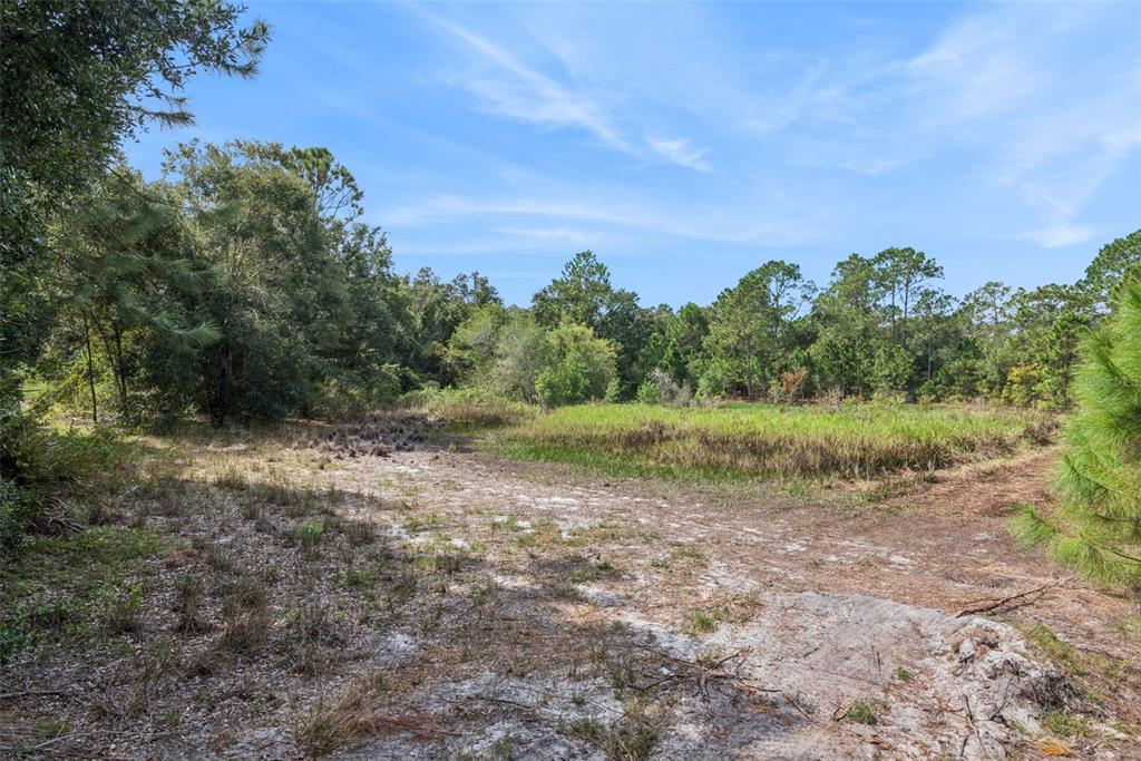 BETHUNE STREET, LEESBURG, FL — photo 4 of 20