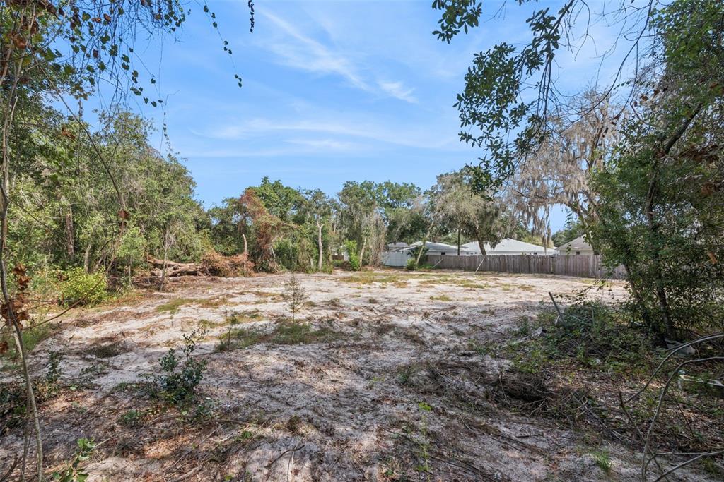 BETHUNE STREET, LEESBURG, FL — photo 5 of 20