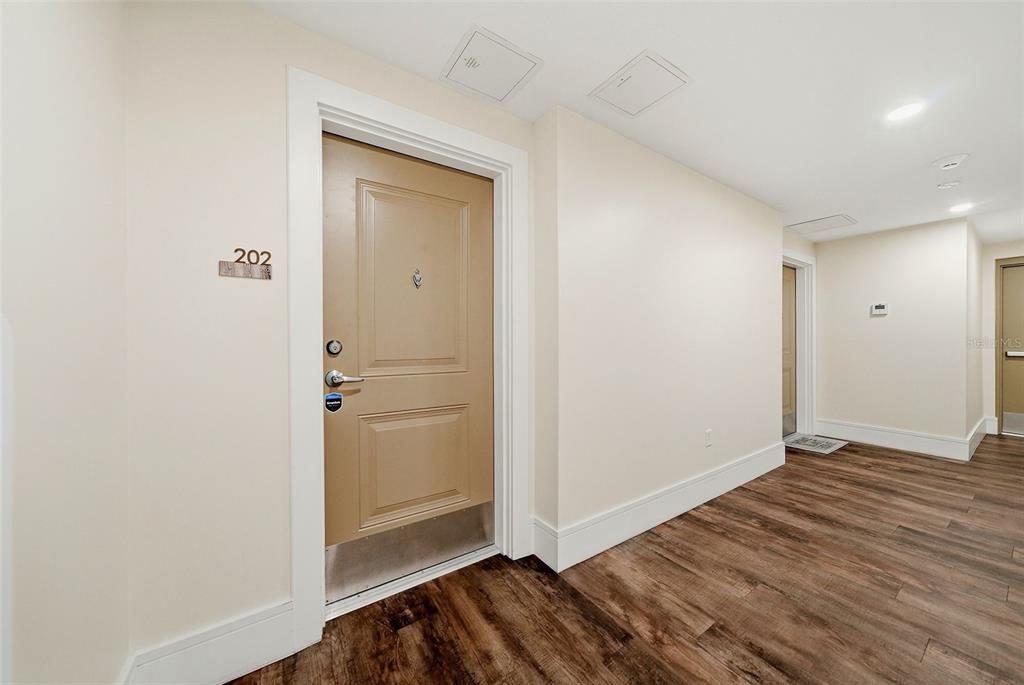 A hallway with wood-look flooring features a tan door labeled 202 and white walls — 231 2ND STREET S UNIT 202, SAFETY HARBOR, FL