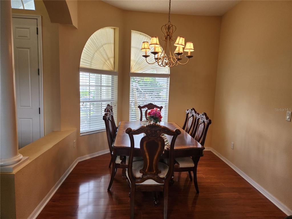 A dining room features a wooden table, six chairs, a chandelier, and hardwood flooring — 1629 CANOE DRIVE, LUTZ, FL