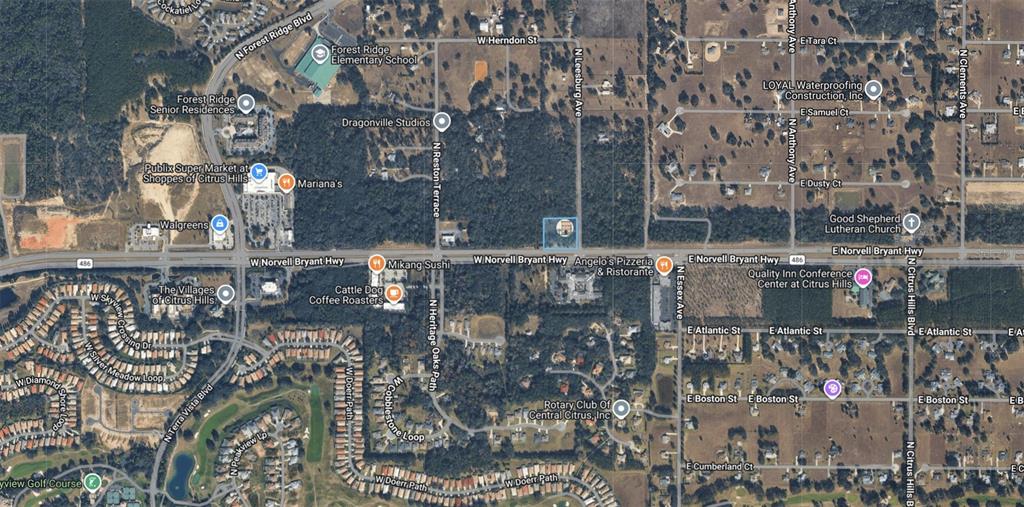 An aerial view shows a residential neighborhood, a golf course, and a highway with a pin — 161 W NORVELL BRYANT HIGHWAY, HERNANDO, FL