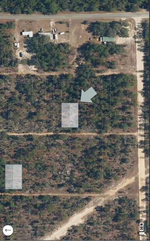 An aerial map view shows two highlighted rectangular land parcels in a wooded area — XX PINE WAY, INTERLACHEN, FL