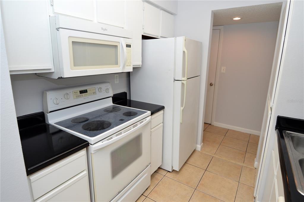 8638 FANCY FINCH DRIVE UNIT 101, TAMPA, FL — photo 4 of 30