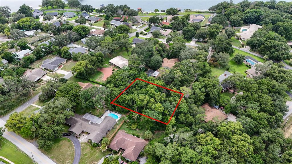 An aerial view shows a rectangular wooded lot outlined in red within a residential neighborhood — FAIRWAY AVENUE, EUSTIS, FL