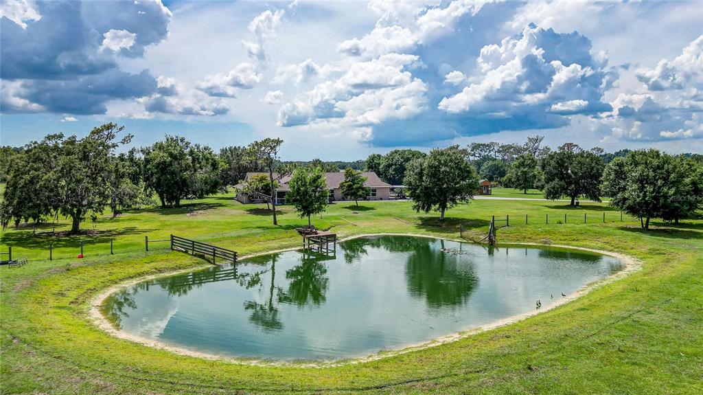 A small pond with ducks and a wooden dock sits in a grassy field — 560 OAKFORD ROAD, SARASOTA, FL