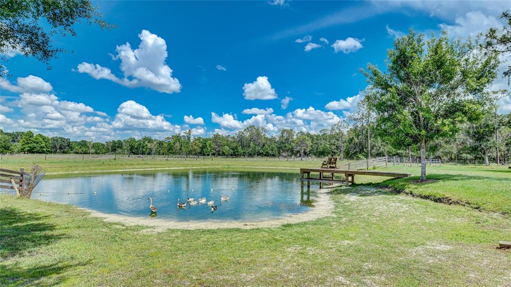 A wooden dock with two chairs extends over a pond in a grassy field — 560 OAKFORD ROAD, SARASOTA, FL