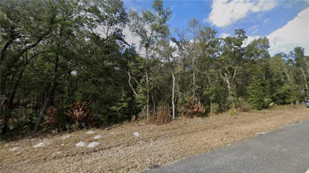 TBD NW 85TH AVENUE, CHIEFLAND, FL — photo 2 of 25
