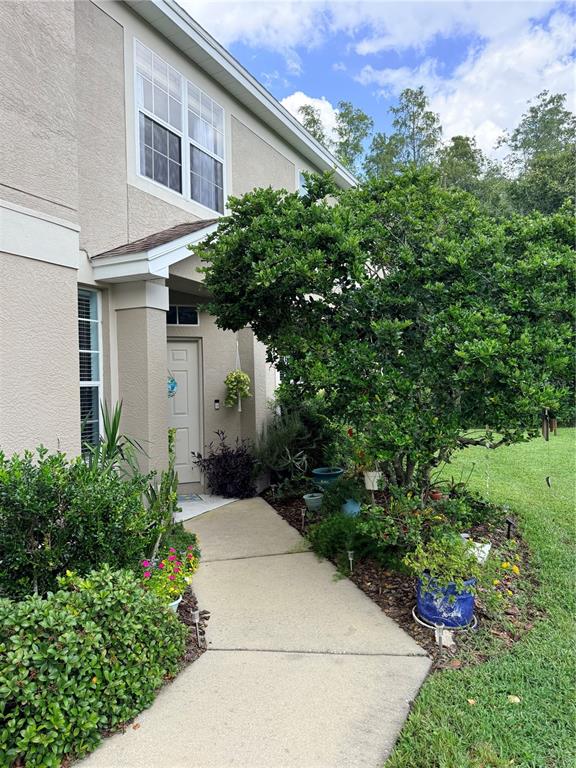 6237 DUCK KEY COURT, TAMPA, FL — photo 2 of 25