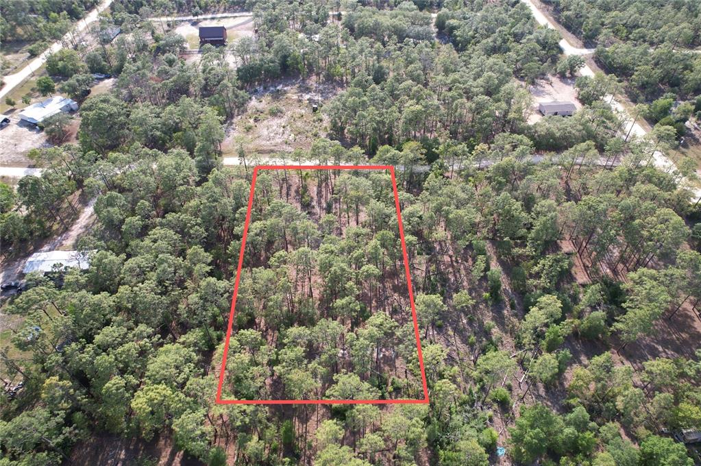 An aerial view shows a rectangular plot of land outlined in red amidst wooded terrain — SE 148TH COURT, MORRISTON, FL