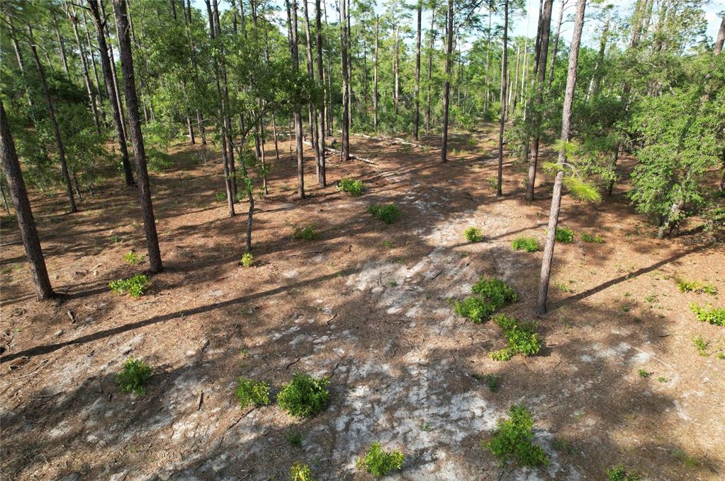An aerial view of a wooded lot with sandy soil and scattered small green shrubs — SE 148TH COURT, MORRISTON, FL