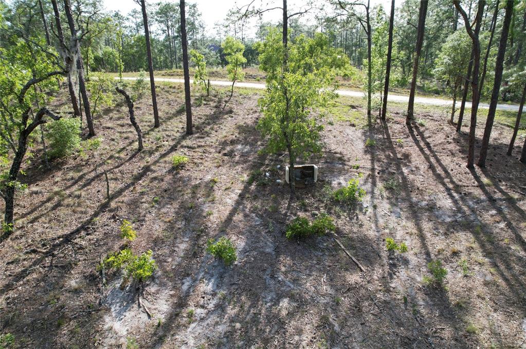 A wooded, undeveloped lot features scattered trees, sandy ground, and a small utility box — SE 148TH COURT, MORRISTON, FL