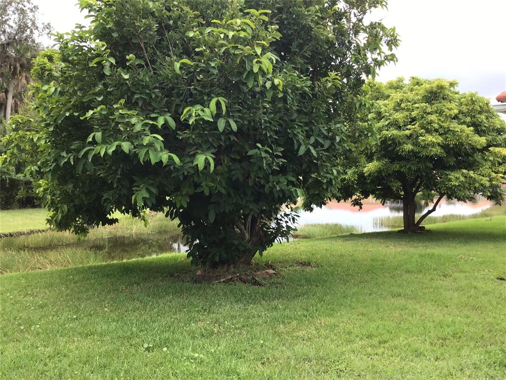4616 62ND AVENUE E, BRADENTON, FL — photo 4 of 30