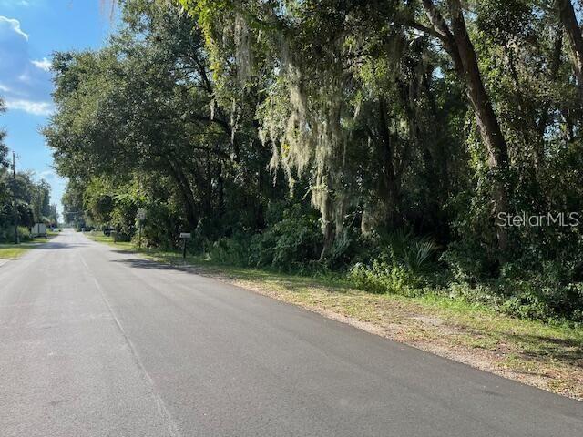 A paved road runs alongside a wooded lot with Spanish moss hanging from the trees — 4131 E BERRY STREET, INVERNESS, FL