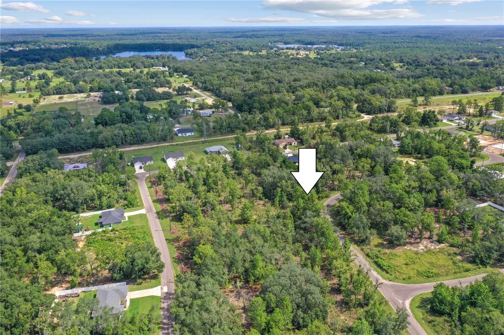 An aerial view shows a wooded residential lot marked by a white arrow — 0024 GUAVA PASS DRIVE, OCKLAWAHA, FL