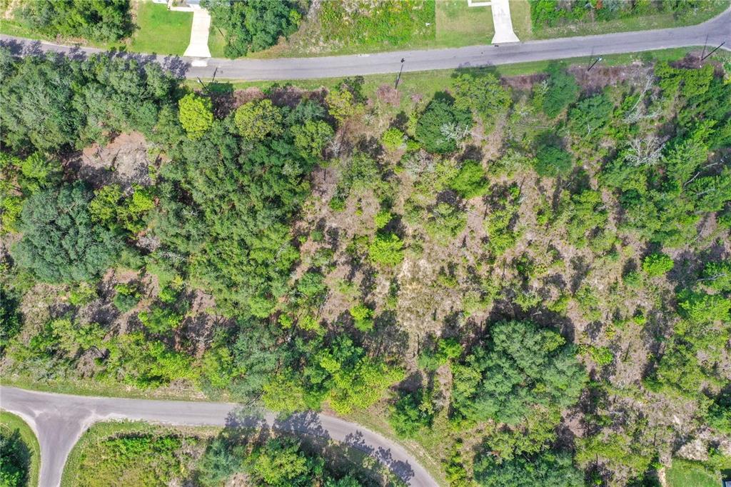 An aerial view shows a wooded, undeveloped residential lot situated between two curved paved roads — 0024 GUAVA PASS DRIVE, OCKLAWAHA, FL