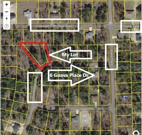 An aerial map shows a highlighted vacant lot located within a residential neighborhood — 0024 GUAVA PASS DRIVE, OCKLAWAHA, FL