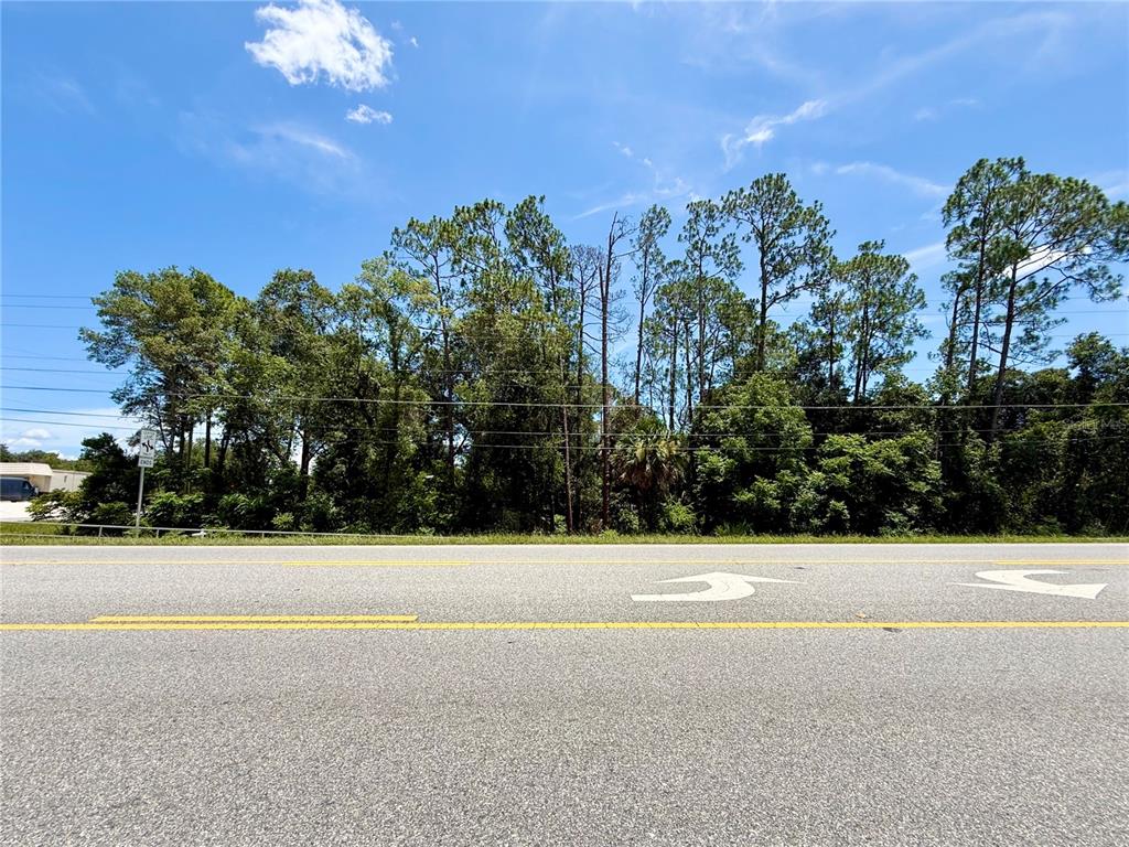 A paved road runs in front of a dense line of trees under a blue sky — LOT 13 STATE ROAD 44, EUSTIS, FL