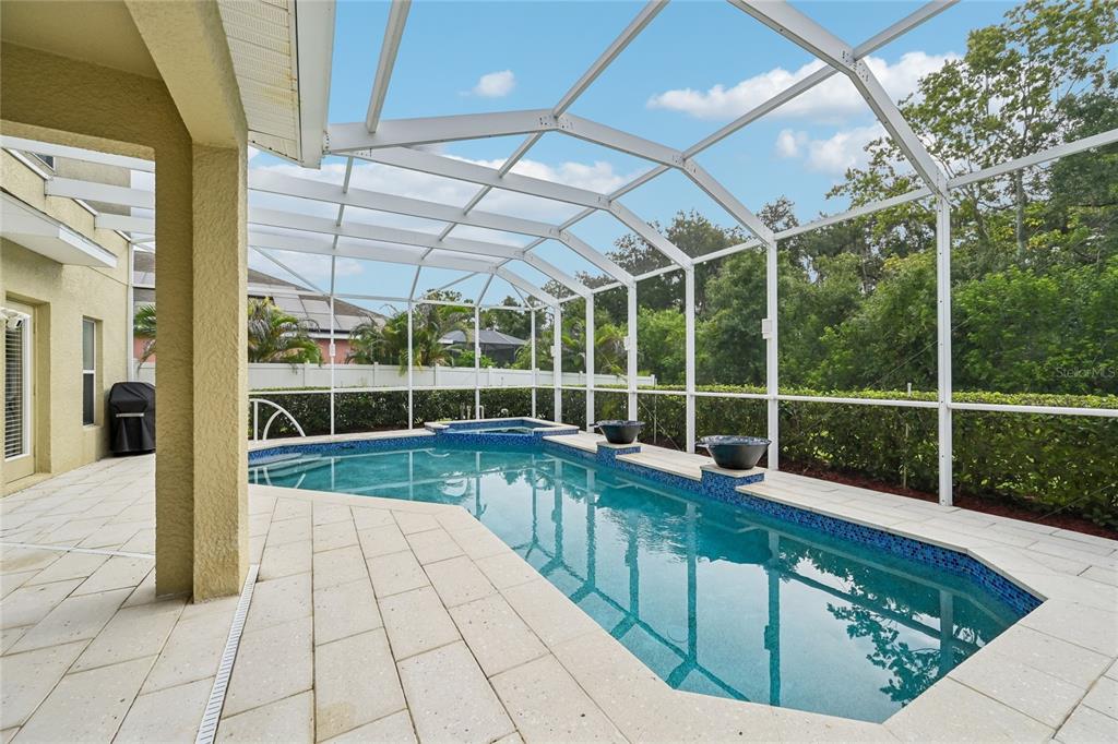 A screened-in swimming pool and spa with a tiled patio and surrounding privacy hedge — 8124 115TH AVENUE E, PARRISH, FL