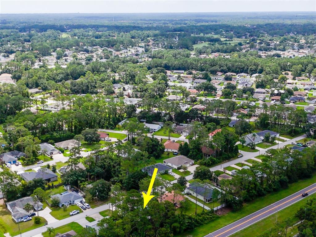 An aerial view shows a residential neighborhood with a yellow arrow pointing toward a house — 33 WELLWOOD LANE, PALM COAST, FL