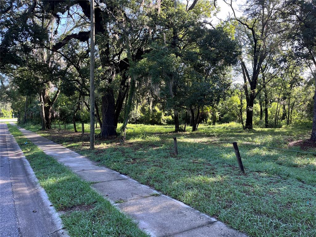 A grassy, tree-filled vacant lot sits adjacent to a concrete sidewalk along a road — 325 MARKER STREET, ALTAMONTE SPRINGS, FL