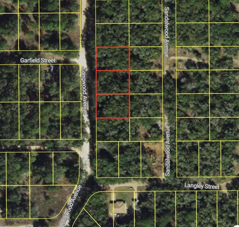 This is an aerial map showing three adjacent rectangular land parcels outlined in red — 702 LONGWOOD AVENUE, INVERNESS, FL
