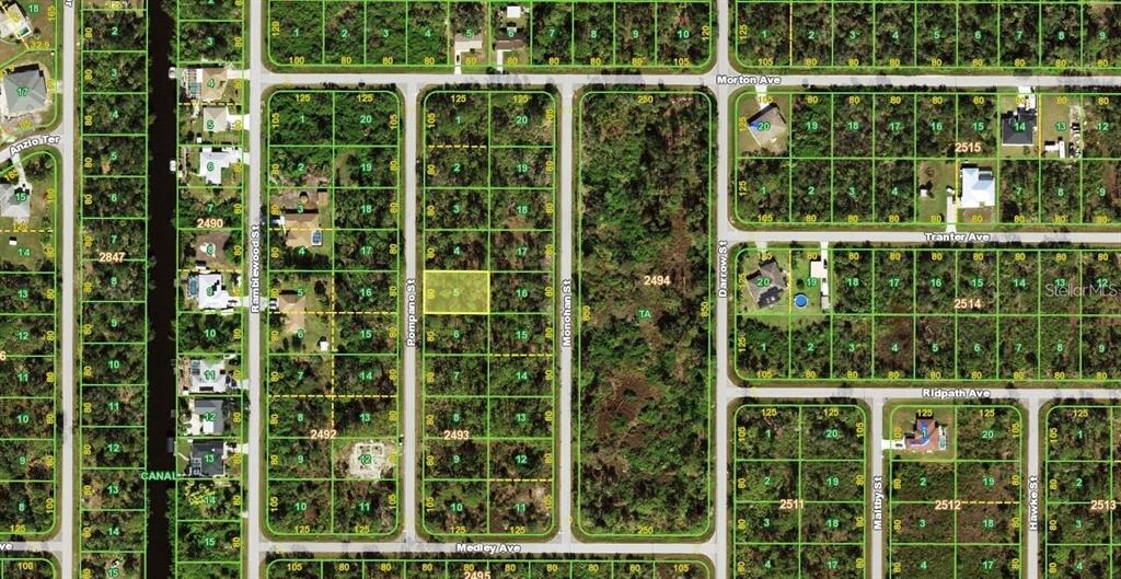 A paved road runs alongside a wooded lot with tall pine trees and dense vegetation — 72 POMPANO STREET, PORT CHARLOTTE, FL