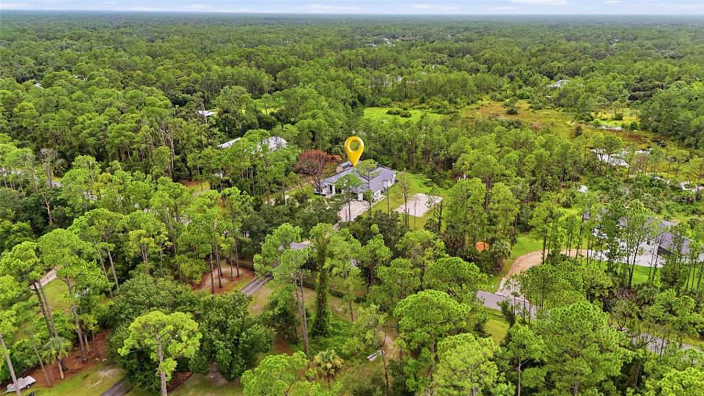 An aerial view shows a house nestled within a dense forest of pine trees — 6547 BEEDLA STREET, NORTH PORT, FL