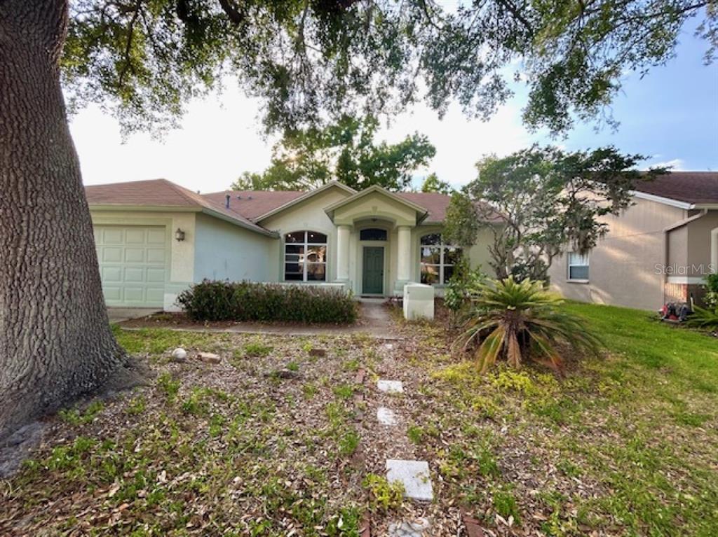 A single-story house with a green front door, a garage, and a large oak tree — 1135 BIG SKY DRIVE, WESLEY CHAPEL, FL