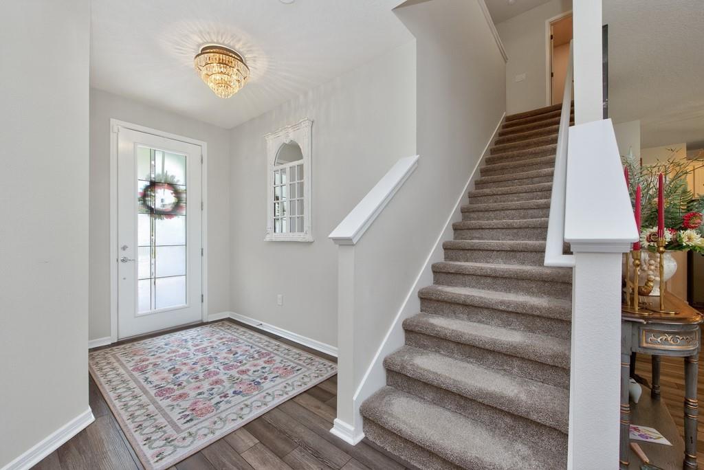 An entryway features a front door, a floral rug, and carpeted stairs leading upward — 12908 BROOKSIDE MOSS DRIVE, RIVERVIEW, FL