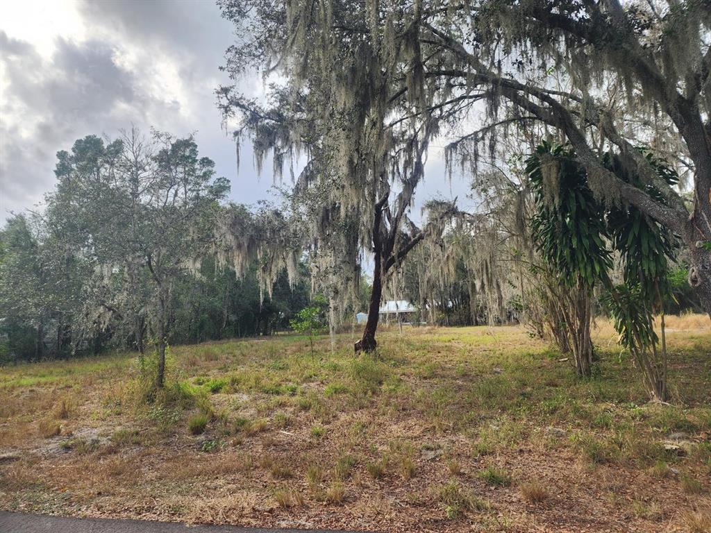 1409 WILKINSON DRIVE