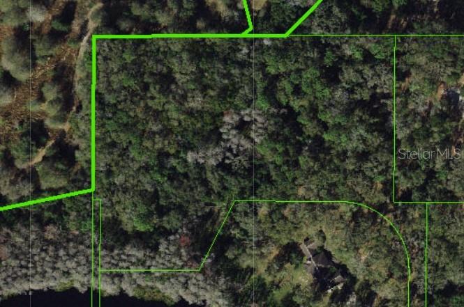 TBD COLLIER PARKWAY, LAND O LAKES, FL — photo 2 of 9