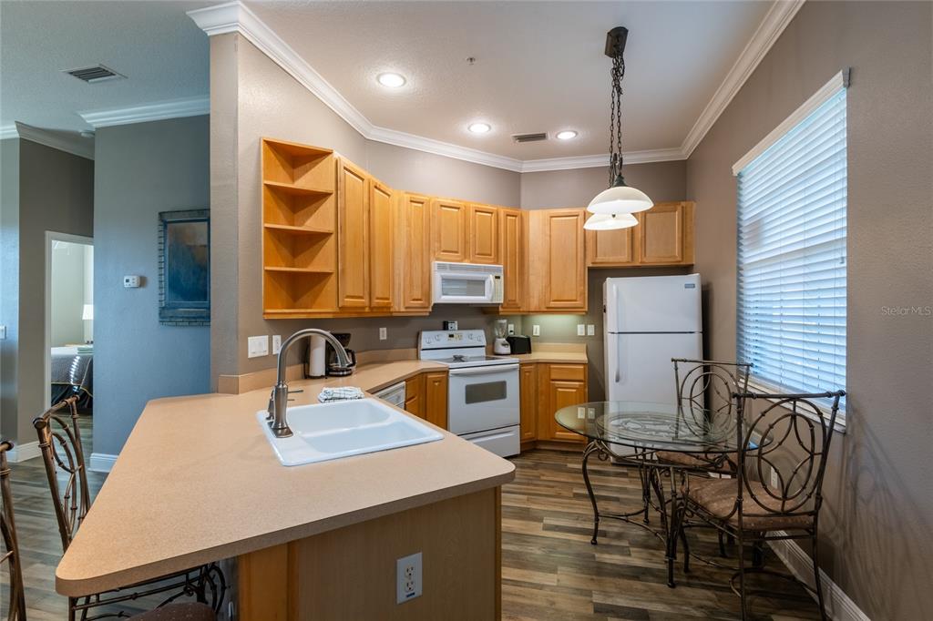 21032 PICASSO COURT UNIT 205, LAND O LAKES, FL — photo 5 of 21
