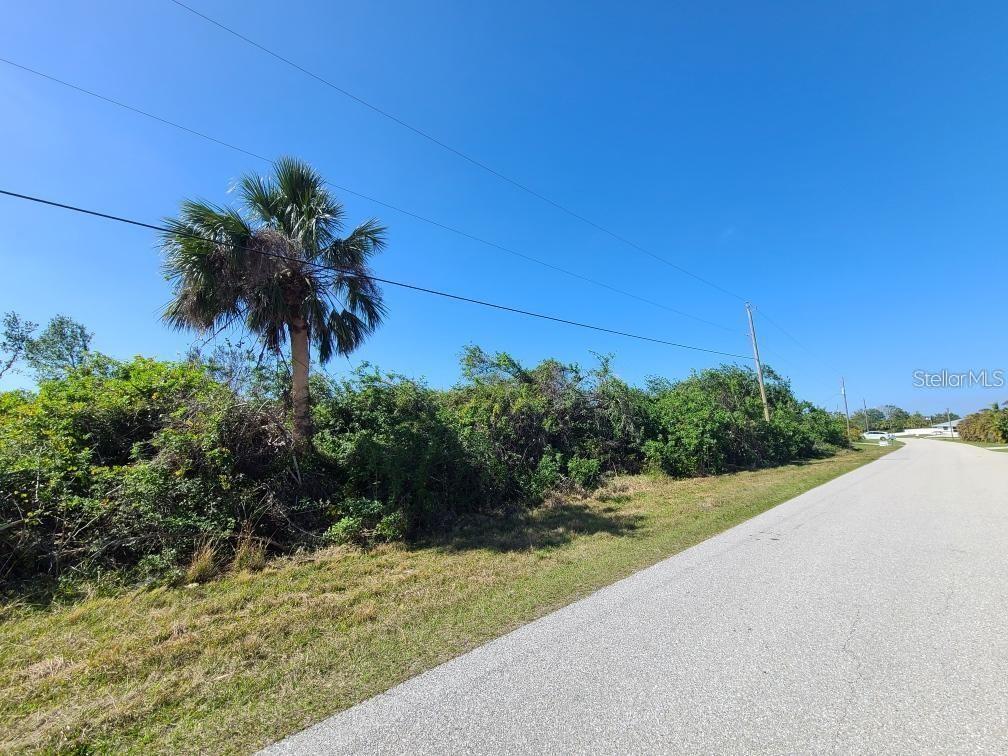 A paved road runs alongside a vacant lot covered in dense brush and a palm tree — 6441 ROBERTA DRIVE, ENGLEWOOD, FL