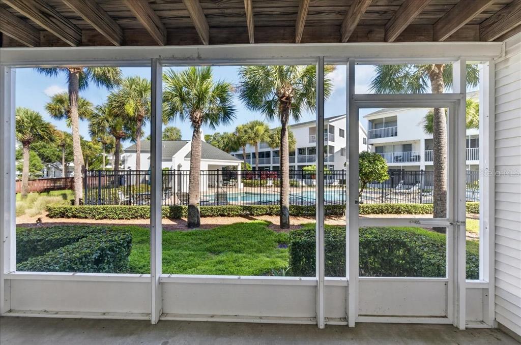 A screened-in porch with a concrete floor overlooks a swimming pool and palm trees — 14846 SEMINOLE TRAIL, SEMINOLE, FL