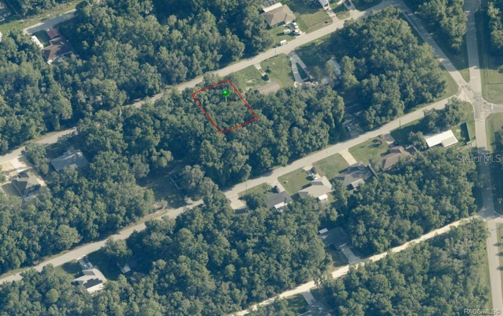 An aerial view shows a rectangular plot of land outlined in red amidst wooded surroundings — 3732 E JOHNSON PLACE, INVERNESS, FL