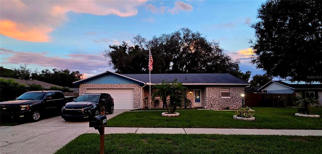 3833 TWILIGHT DRIVE, VALRICO, FL — photo 2 of 30