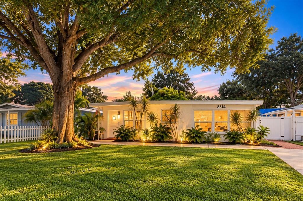 A single-story white house with a large tree in the front yard at sunset — 8514 93RD AVENUE, SEMINOLE, FL