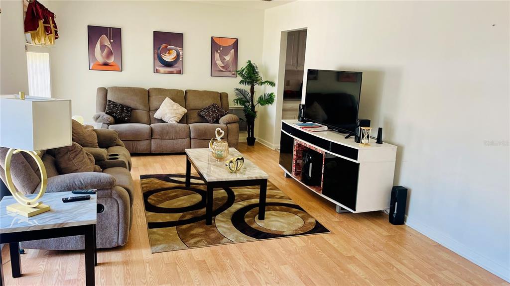 A living room features a brown sofa, a patterned area rug, and a television console — 14809 TULIP DRIVE, TAMPA, FL
