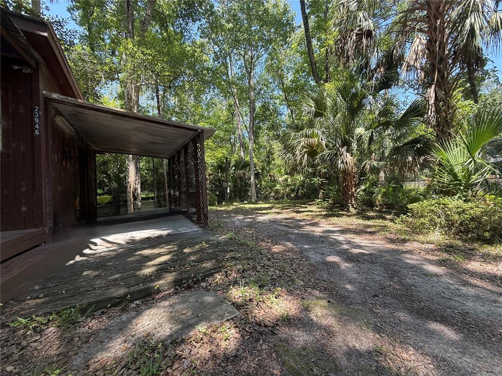 A wooden house exterior features a covered porch and a dirt driveway surrounded by trees — 23946 INDIGO ROAD, ASTOR, FL