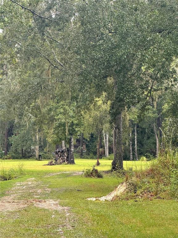 10379 NE HIGHWAY 314, SILVER SPRINGS, FL — photo 3 of 6