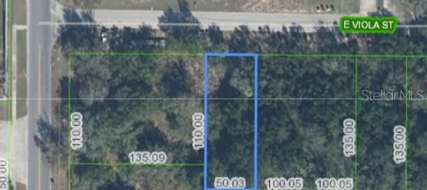 An aerial map shows a rectangular plot of land highlighted in blue — 6 E VIOLA STREET, AVON PARK, FL