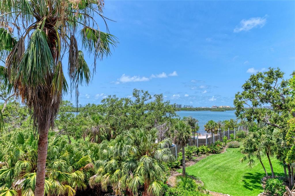 A screened-in balcony overlooks a lush backyard with palm trees and a distant body of water — 8963 FISHERMENS BAY DRIVE, SARASOTA, FL