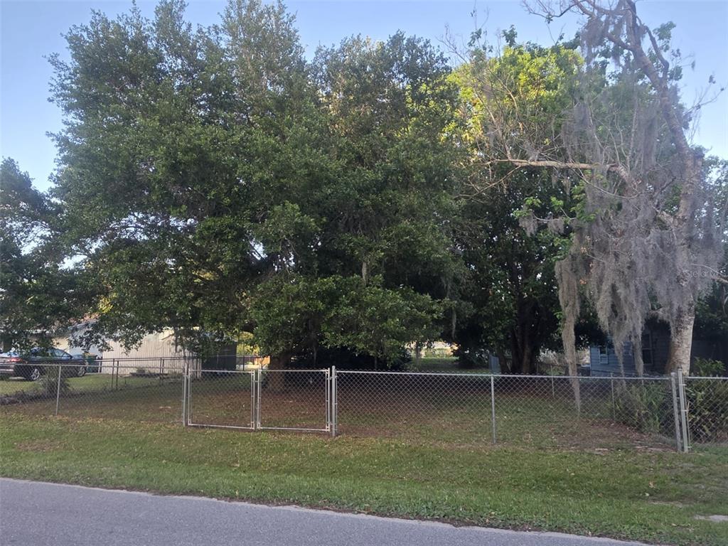 A chain-link fence encloses a grassy lot filled with large, mature trees — 722 NEVADA STREET, MELBOURNE, FL