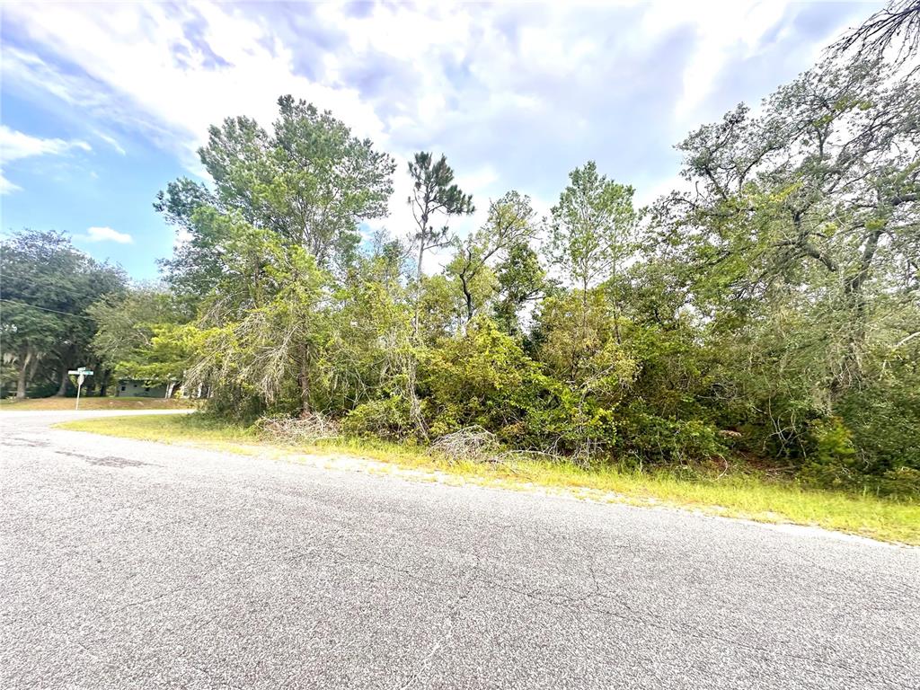 A paved road curves past a wooded lot with dense trees and underbrush — SAFFRON AVENUE, EUSTIS, FL