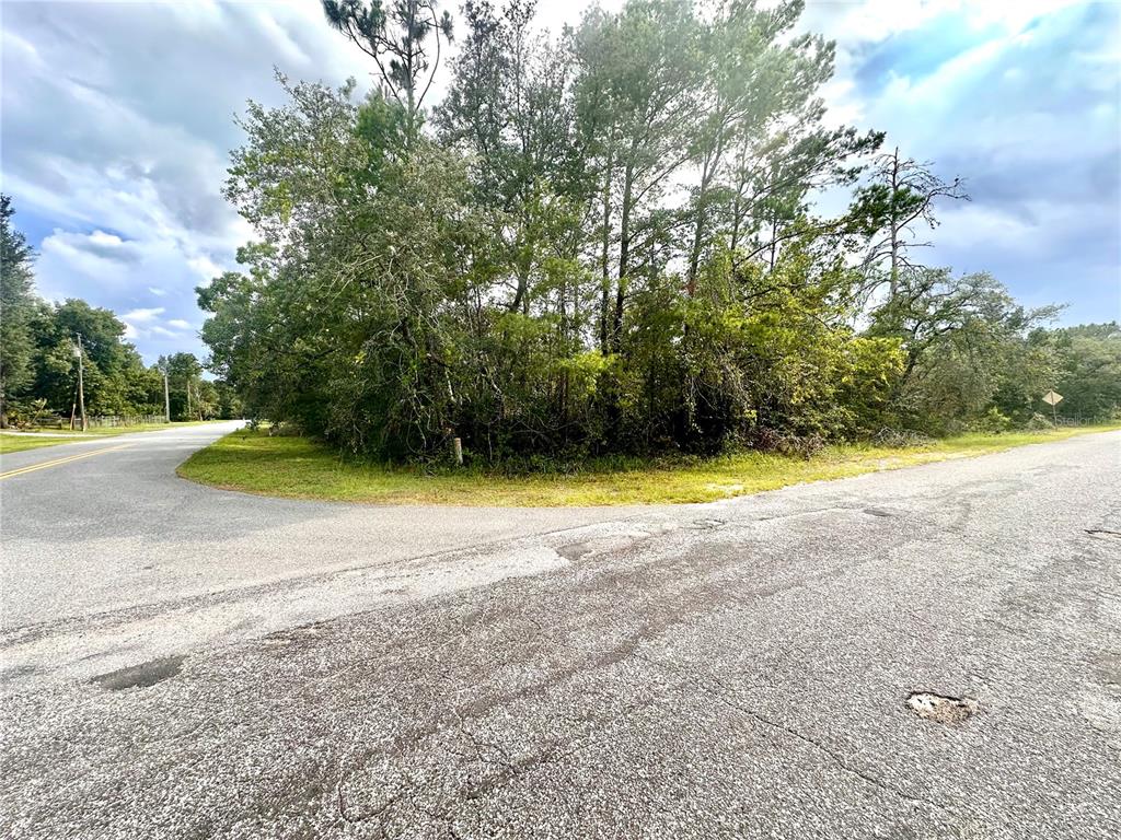 A paved road intersection borders a wooded lot with tall trees under a cloudy sky — SAFFRON AVENUE, EUSTIS, FL