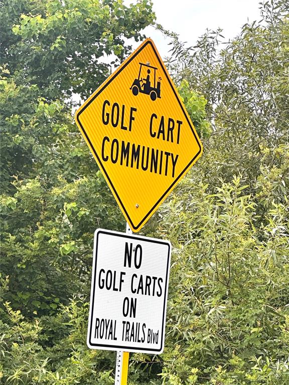 A yellow diamond-shaped sign and a white rectangular sign indicate golf cart traffic rules — SAFFRON AVENUE, EUSTIS, FL